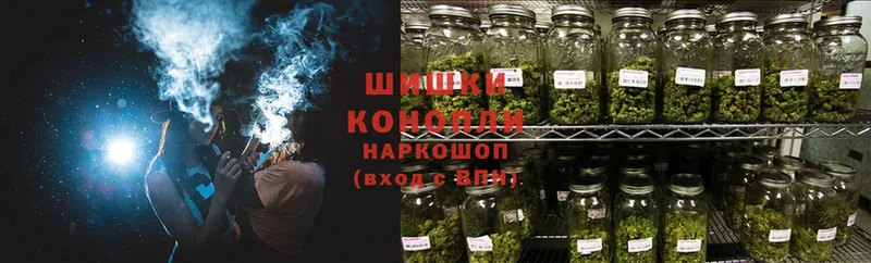 Конопля Bruce Banner  Куровское 